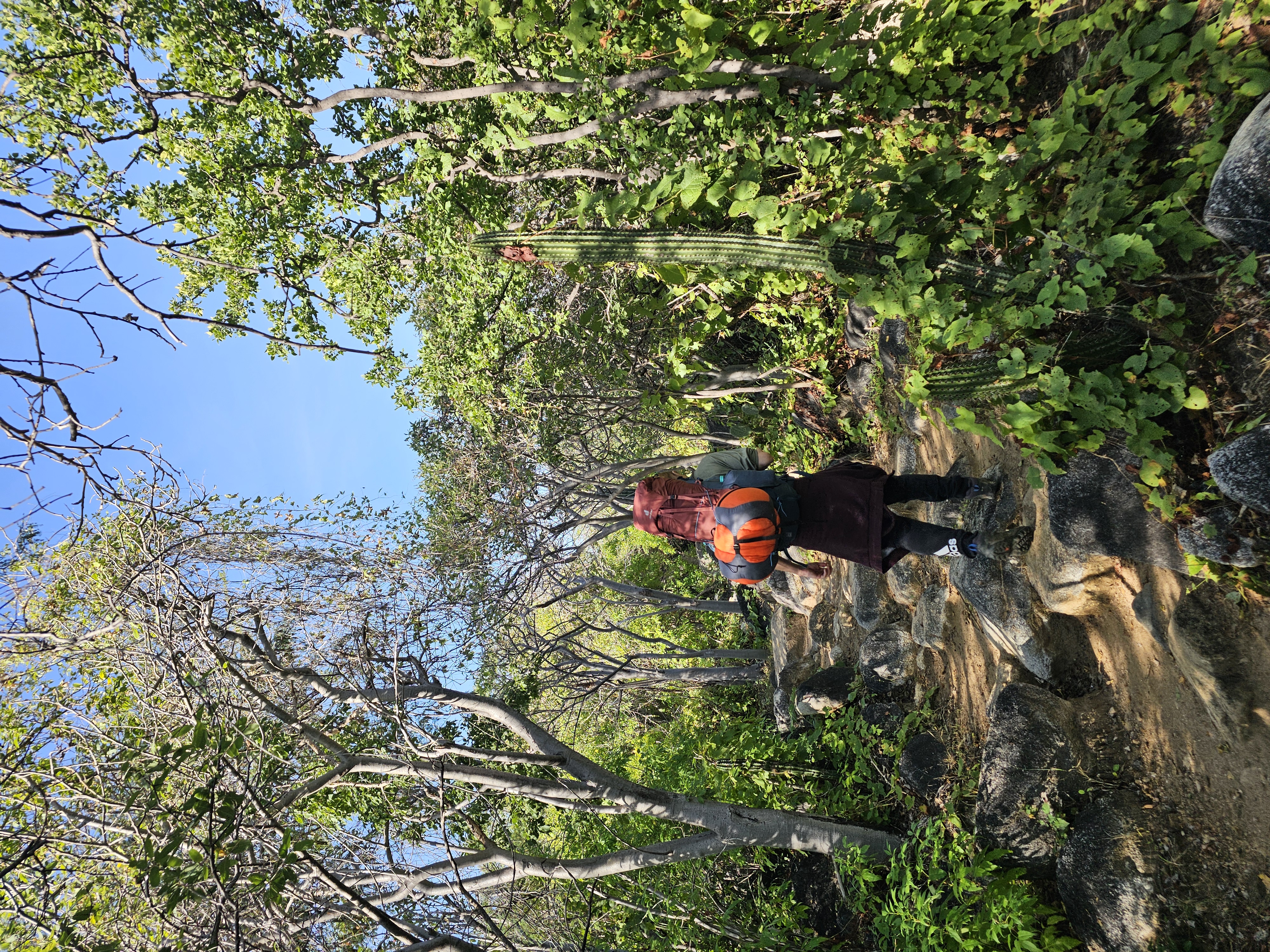 Sierra Laguna Biosfera